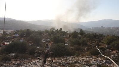 More than 35 Palestinian families had been farming the land there and harvesting olives, according to Beita municipality, a claim disputed by the settlers.