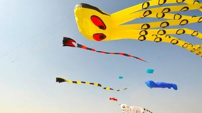International kite flyers from the USA, Kuwait and India display their unique kites at the first International Kite Festival in the UAE in Jan 2012 at the Dubai Outlet Mall in Dubai.