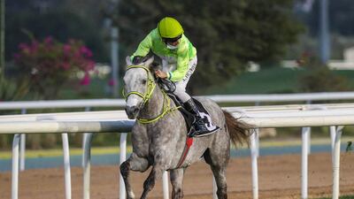 Ottoman, ridden by Adrie de Vries, won the Group 3 Arabian Triple Crown R2 at the Abu Dhabi Equestrian Club. Courtesy ERA