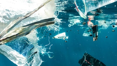 Microplastics are proven to contaminate the environment, but how are they affecting human health? Photo: Naja Bertolt Jensen / Unsplash