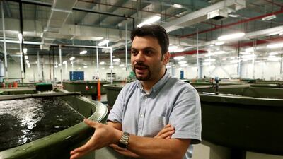 Muhaned Abu Awad, production manager of Emirates Aquatech sturgeon farm in Abu Dhabi. Christopher Pike / The National