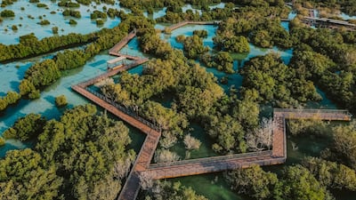 The UAE's extensive relationships with the rest of the world make it the ideal country to host Cop28. Wam