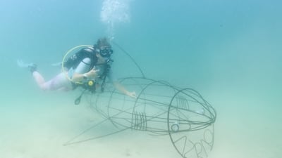 Under water nursery table maintenance