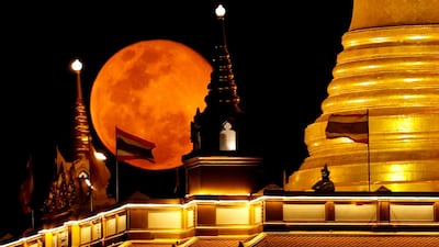 The pink supermoon rises above Wat Saket Temple in Bangkok, Thailand. Reuters