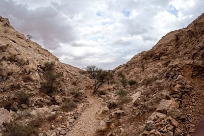 The Faya palaeolandscape achieved UN World Heritage status in July. Ahmed Ramzan for The National