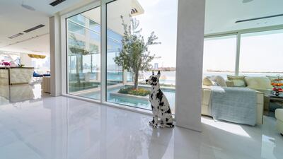 The property boasts a number of water features. Courtesy BlackBrick Property