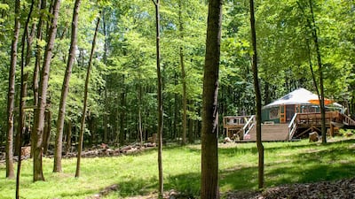 8. Located in five acres of upstate New York forest, this rustic yurt has its own private river with waterfall and swimming hole, and it's pet-friendly. Rates from Dh808 for up to six guests.