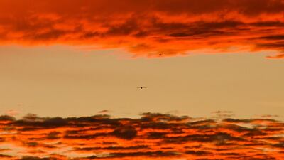 A bird flies between clouds as the sun sets in Marseille, southern France. AFP
