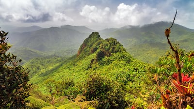 10. El Yunque National Forest, Puerto Rico.