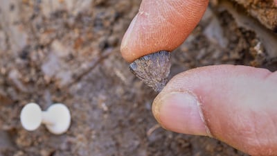 A fragment of iron pyrite that was discovered at Barnham, in Suffolk, England. AP