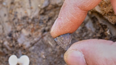 A fragment of iron pyrite that was discovered at Barnham, in Suffolk, England. AP