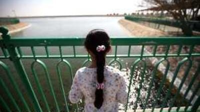 Mariam Al Shamsi, nine, watches the fish from her vantage point at the Green Mubazzarah in Al Ain.
