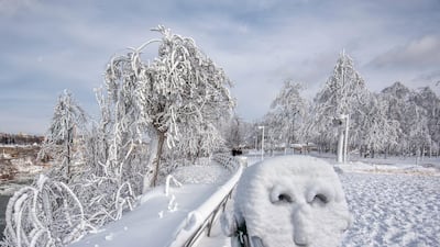 A coin operated binocular is covered in snow. James Neiss / The Niagara Gazette via AP