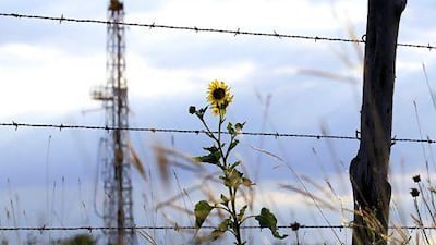 This could be the year for alternative energy. Eric Gay / AP Photo