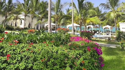 The lush gardens at Baraza Resort & Spa, Zanzibar. Courtesy The Zanzibar Collection