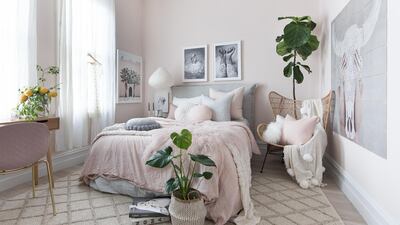 Bring greenery into a newly reorganised and refreshed room as an injection of life. Norsu