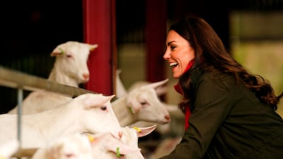 Catherine, Duchess of Cambridge, visited a goat farm near Abergavenny and Blaenavon in Wales on Tuesday. The farm has been providing milk to a local cheese producer for nearly 20 years. PA