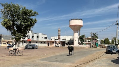 Dingucha is known as the 'village of NRIs' (non-resident Indians) as more than 80 per cent of its families have settled abroad