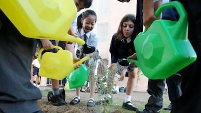 Pupils at Repton School plant trees at their school campus in Dubai. A project to plant trees on “carbon farms” in the desert could bring more rainfall to the area and absorb tonnes of atmospheric carbon dioxide. Pawan Singh / The National