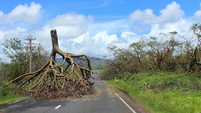 An uprooted tree following Cyclone Winston in Fiji’s western division. Fiji Government / AFP Photo