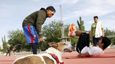 Manny Pacquiao’s dog, “Pacman” watches as the boxer works out in General Santos, Philippines, last year as he prepared for his fight with Timothy Bradley. Mike Young for The National / February 24, 2014