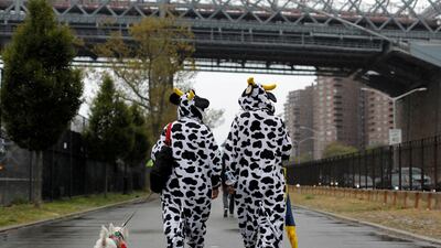 People dressed as cows walk toward the Tompkins Square Halloween Dog Parade in Manhattan, New York City, U.S. Reuters