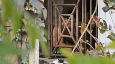 Thai and Burmese fishing boat workers sit behind bars inside a cell at a fishing firm’s compound in Benjina, Indonesia. Dita Alangkara / AP Photo