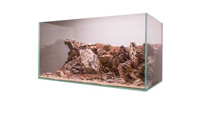 Pebbles, plants and marine life aside, the artist is also able to create miniature mountains, caves and waterfalls within his aquascapes.