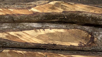 Cut rosewood trees in the village of Coli. The hardwood is used to make antique-style furniture, which is exported to North America and Europe and is popular in China with its growing middle class. Joe Penney / Reuters