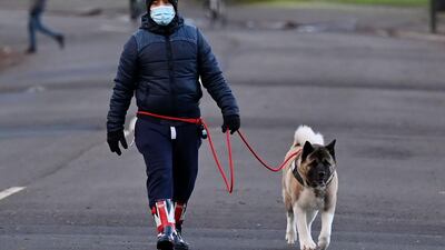 A person wearing a protective face covering walks their dog in Battersea Park in London. Scientists have suggested pets may need to be immunised against Covid. AFP