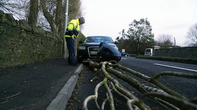 Men attend to a fallen tree on Malahide Road in Dublin, Ireland. PA