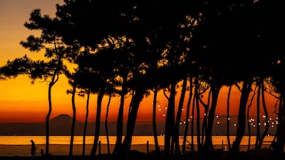 Mount Fuji seen from the Inage Seaside Park in Chiba city, a suburb of Tokyo. AFP
