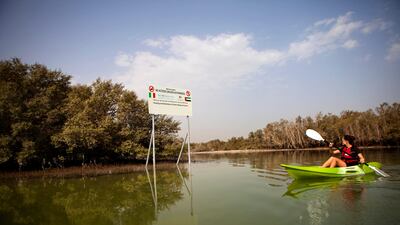 A well-visible sign post warns kayakers not to enter the area designated for "Arresting and Rehabilitation of Eastern Mangrove Erosion" in the Eastern Mangroves. (Silvia Razgova/The National)