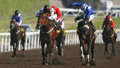 With jockey Wayne Smith aboard, Treble Jig, second from the left, won the Group 3 Jebel Ali Mile on Friday and broke a 12-year-old track record in the process.