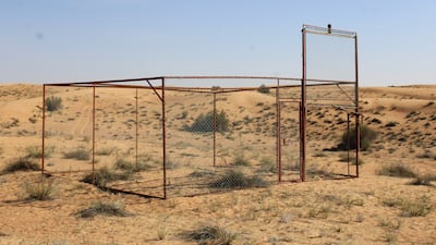 The cage constructed at the reserve in a project to capture and fit GPS tracking devices to lappet-faced vultures. Photo: DDCR
