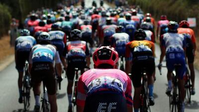 The peloton during Stage 12. AP