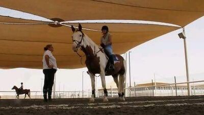 Some of the more experienced horses travel to compete in Europe during the summer months, while the young ones stay behind to rest.