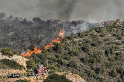 Firefighters try to keep a blaze away from a residential area of Panorama Voulas, south of Athens on Saturday. A wildfire whipped by gale-force winds blazed through vegetation in the suburb. Photo: AFP