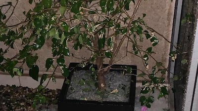 Thunder, lightning, rain and hail fell on the city in the space of an hour. Courtesy: Anton Balchin