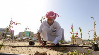 The campaign is part of a national initiative to turn Kuwait's capital into a greener city