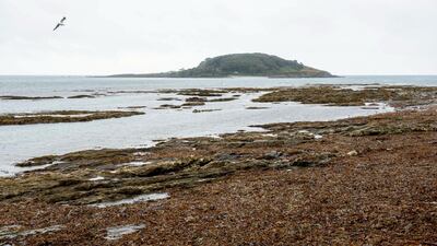 The rugged coastline of Cornwall