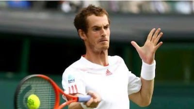 Andy Murray defeated David Ferrer in the Wimbledon quarter-finals.
