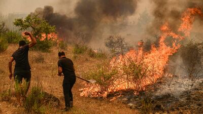 People try to extinguish part of a fire during a blaze that engulfed a Mediterranean resort region on Turkey's southern coast near the town of Manavgat.