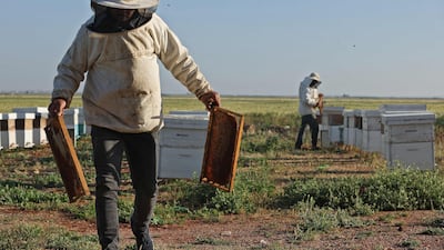 Syria's apiculture has also been affected by climate change, which has increased drought and wildfires worldwide. AFP