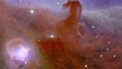 The Horsehead Nebula taken during ESA's Euclid space mission. AFP