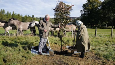 The royals have committed to preserving woodland and wildlife, and this year, to celebrate her reign, the queen has partnered with Woodland Trust through the Queen's Green Canopy initiative to donate more than three million trees. Getty Images