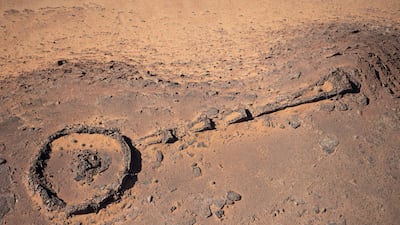 A pendant tomb, made up of a head containing the burial tomb and a 'tail'. Photo: Donald Boyer