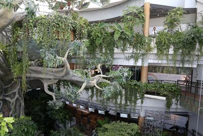 A view of Dubai's tropical rainforest bio-dome, Green Planet. Pawan Singh / The National