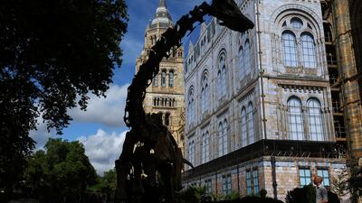 A visitor views a full-size bronze replica of a Diplodocus dinosaur skeleton in the newly completed Nature Discovery Garden at the Natural History Museum in London. Reuters
