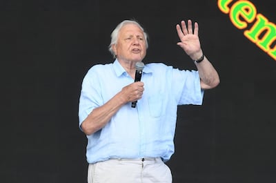 Wildlife presenter and environmental activist Sir David Attenborough addressing the Pyramid Stage crowd at this year's Glastonbury Festival.